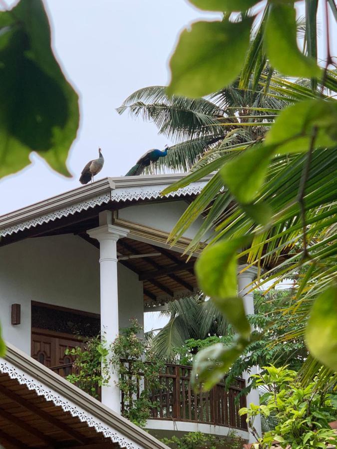 Hotel Neli Guests House Unawatuna Exterior foto